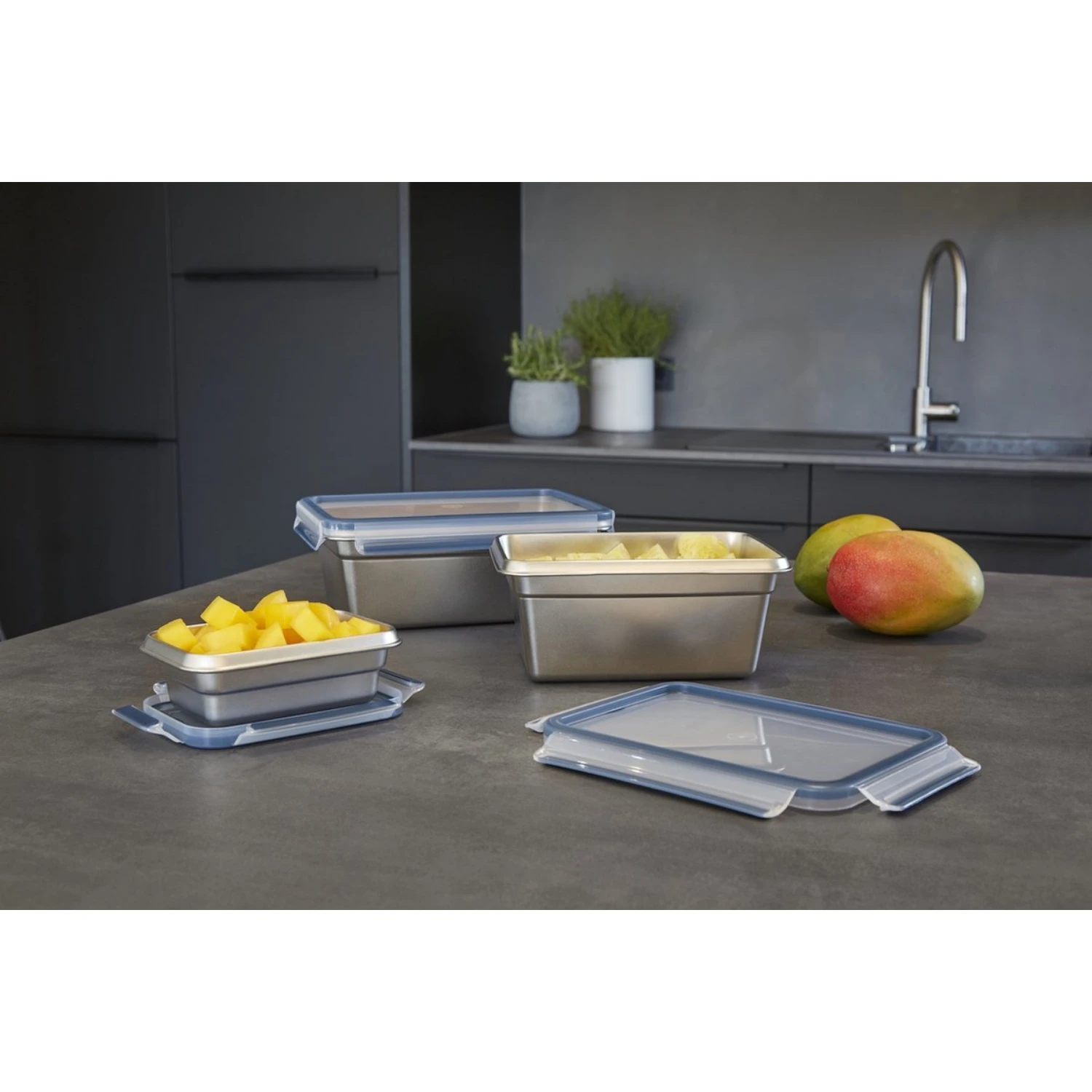 Tefal Masterseal RVS Vershouddoos Rechthoek 3.0 L 6 Tefal Masterseal RVS Vershouddoos Rechthoek 3.0 L - Afbeelding 6