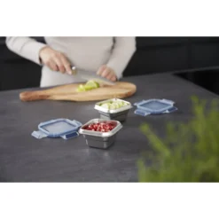 Tefal Masterseal RVS Vershouddoos Vierkant 0.2 L -Exporteren Proef Loka Winkel 104 0810 6 1