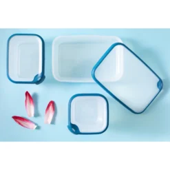 Curver Grand Chef Vershoudbak 2,6L Rechthoek -Exporteren Proef Loka Winkel 141 2616 3 1